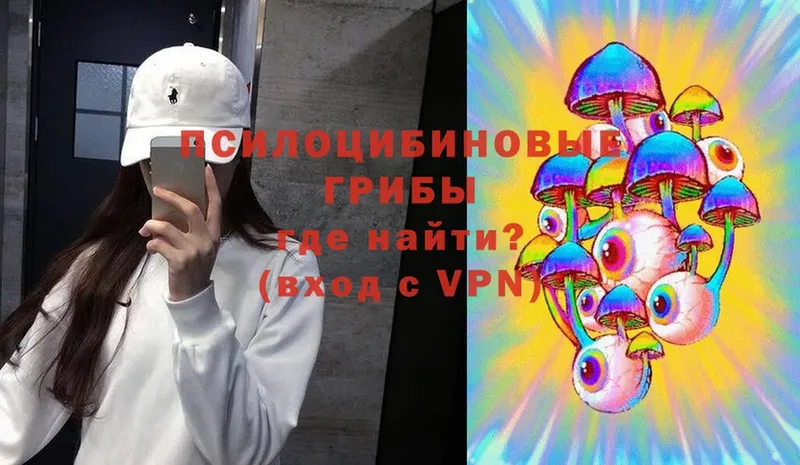 дарнет шоп  Дно  Галлюциногенные грибы Cubensis 